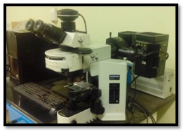 optical microscope